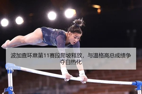 bo-jia-cha-huan-yi-di-sai-duan-pa-po-shi-fang-yu-wen-ge-gao-zong-cheng-ji-zheng-duo-bai-re-hua-2-489.jpg